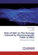 Role of NAC on The Damage Induced by Electromagnetic Fields to RBCs