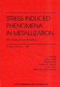 Stress Induced Phenomena in Metallization: Fifth International Workshop: Stuttgart, Germany, June 23-25, 1999