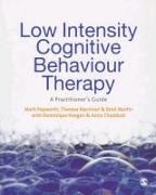 Low Intensity Cognitive-Behaviour Therapy