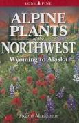 Alpine Plants of the Northwest