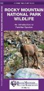 Rocky Mountain National Park Wildlife: A Folding Pocket Guide to Familiar Animals