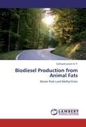 Biodiesel Production from Animal Fats