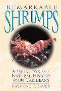 Remarkable Shrimps