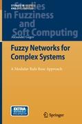 Fuzzy Networks for Complex Systems