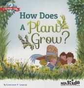 How Does a Plant Grow?