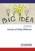Causes of Petty Offences