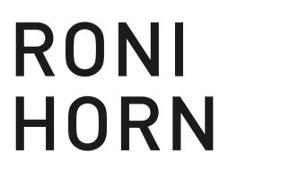 Roni Horn: Artist's Portfolio