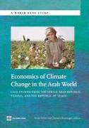 Economics of Climate Change in the Arab World