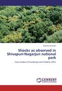 Shocks as observed in Shivapuri-Nagarjun national park