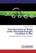 Fluid Dynamics of Water under Simulated Drought Condition in Rice