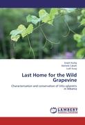 Last Home for the Wild Grapevine