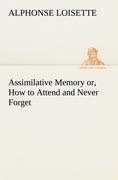 Assimilative Memory or, How to Attend and Never Forget