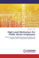 High Level Motivators for Public Sector Employees