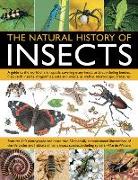 Natural History of Insects