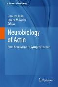 Neurobiology of Actin