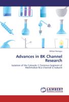 Advances in BK Channel Research