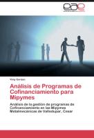 Análisis de Programas de Cofinanciamiento para Mipymes