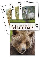 Mammals of the Northwest Playing Cards