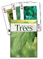 Trees of the Northeast Playing Cards