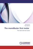 The mandibular first molar