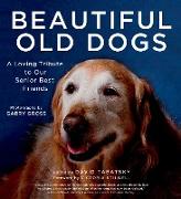 Beautiful old dogs