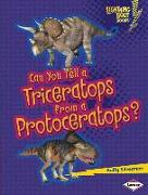 Can You Tell a Triceratops from a Protoceratops?