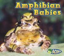 Amphibian Babies