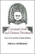 Criminal Gods and Demon Devotees: Essays on the Guardians of Popular Hinduism