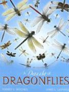 A Dazzle of Dragonflies