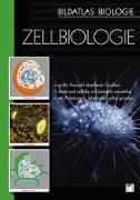 Bildatlas Biologie: DVD 03 Zellbiologie