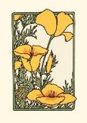 California Poppy, (Unboxed): Unboxed Set of 6 Cards