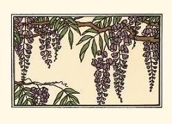 Wisteria Boxed: Boxed Set of 6 Cards