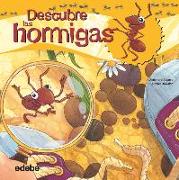 Descubre las hormigas