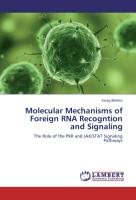 Molecular Mechanisms of Foreign RNA Recogntion and Signaling