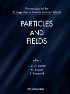 Particles and Fields - Proceedings of the X Jorge Andre Swieca Summer School