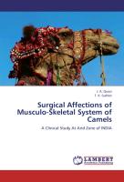 Surgical Affections of Musculo-Skeletal System of Camels