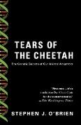 Tears of the Cheetah