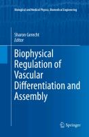 Biophysical Regulation of Vascular Differentiation and Assembly