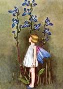 Fairy with Blue Lobelia Blank Greeting Card [With 6 Envelopes]