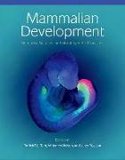 Mammalian Development: Networks, Switches, and Morphogenetic Processes