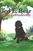 Ted E. Bear the Labradoodle