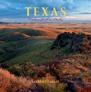 Texas: Portrait of a State