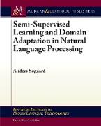 Semi-Supervised Learning and Domain Adaptation in Natural Language Processing