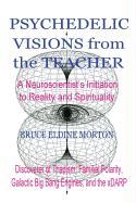 Psychedelic Visions from the Teacher