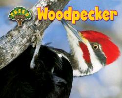 Woodpecker