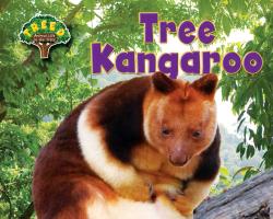 Tree Kangaroo