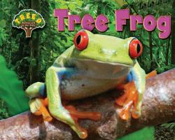 Tree Frog