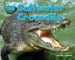 Saltwater Crocodile