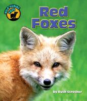 Red Foxes