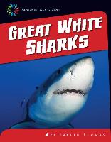 Great White Sharks